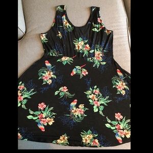 American Rag parrot pattern skater dress, 1X